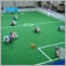 ��RoboCup 2005 OSAKA��