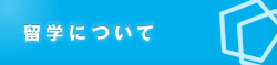 α�ؤˤĤ���