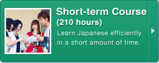 Short-term Course
(210 hours)


